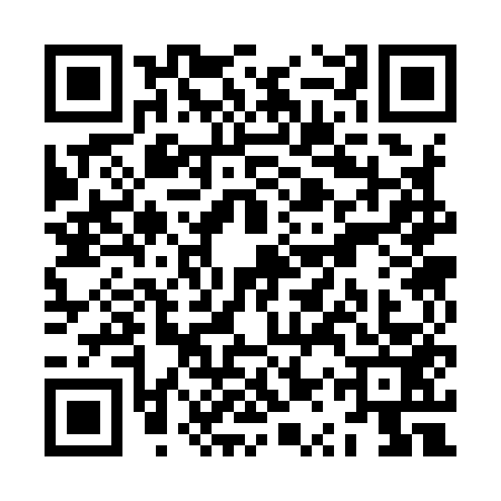 QR code for ZQS9538