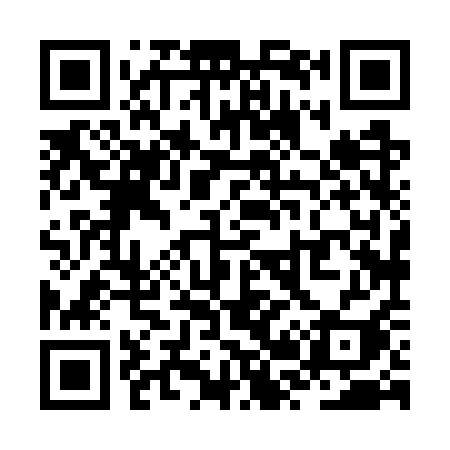 QR code for ZR87QI