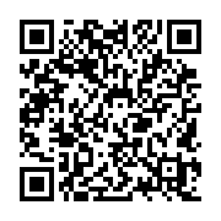 QR code for ZS93LI