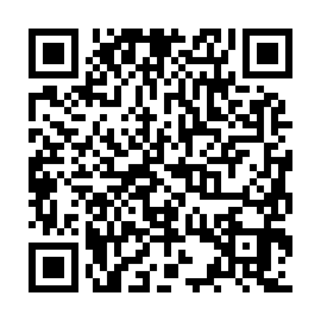 QR code for ZSS9919