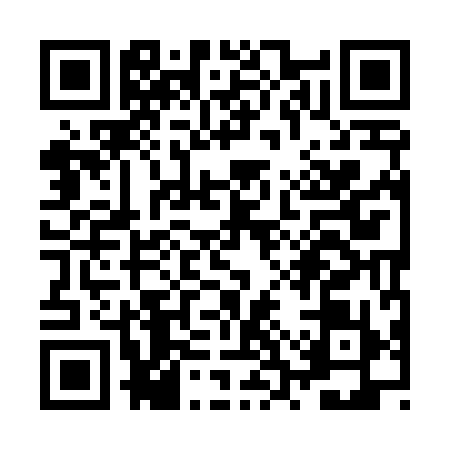 QR code for ZSY4991