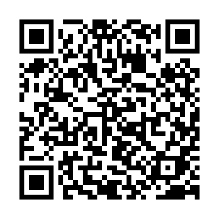 QR code for ZT10PI