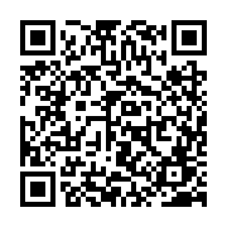 QR code for ZT13WV