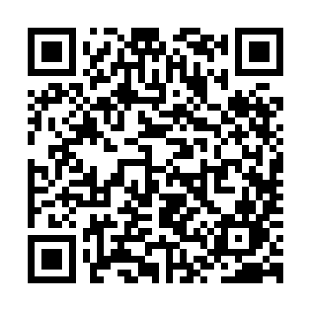 QR code for ZT28IN