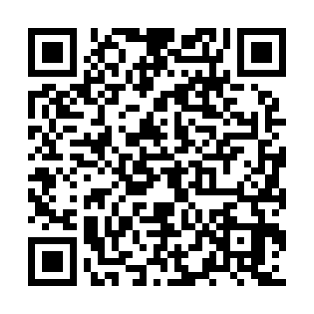 QR code for ZTF9336