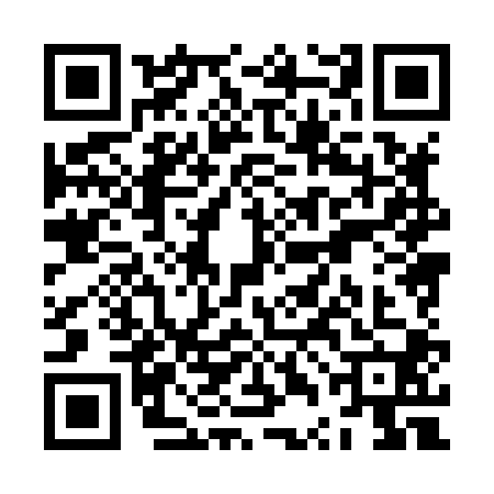 QR code for ZTH8009