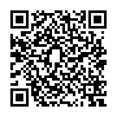 QR code for ZTI3695
