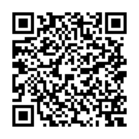 QR code for ZTI5513