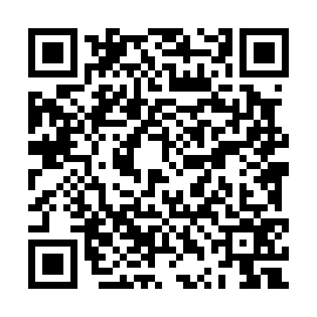 QR code for ZTL0767