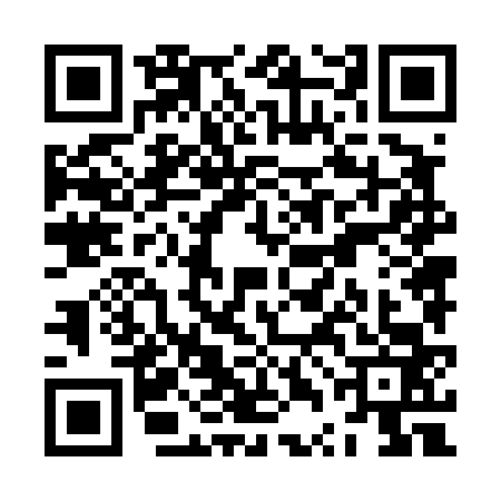 QR code for ZTN4638