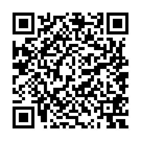 QR code for ZTN9087