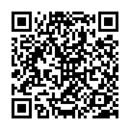 QR code for ZU95ZX