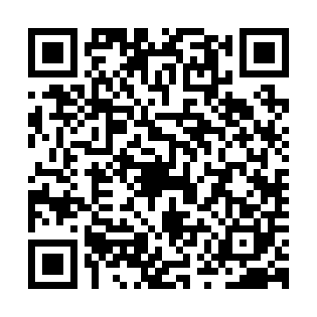 QR code for ZUB2006