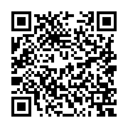 QR code for ZUM9631