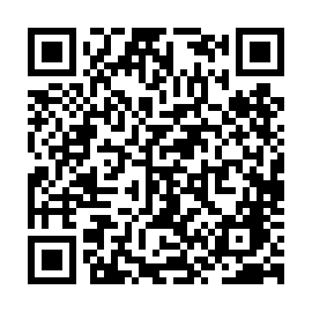 QR code for ZV04NG