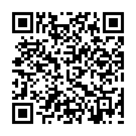 QR code for ZV86SG