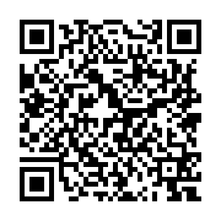 QR code for ZVM9607