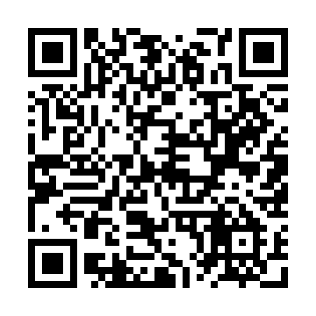 QR code for ZX53CM