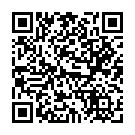 QR code for ZX81LV
