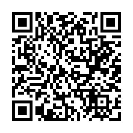 QR code for ZX96HS