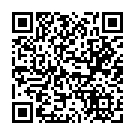 QR code for ZX99DL