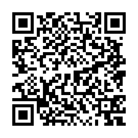 QR code for ZXH4309
