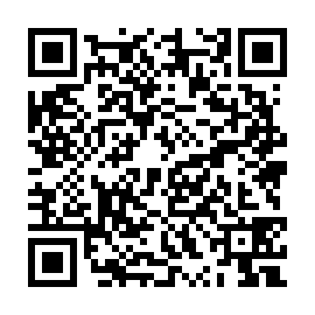 QR code for ZXM6389