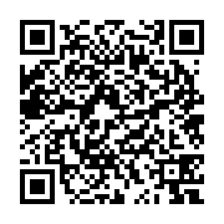 QR code for ZXR2387