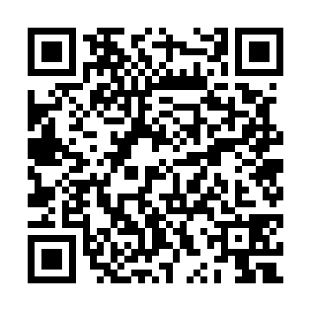 QR code for ZXW5383