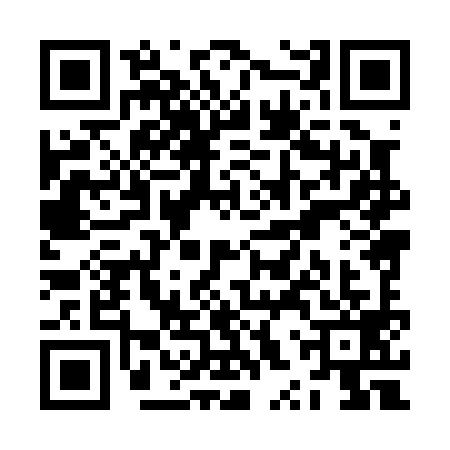 QR code for ZXX0994