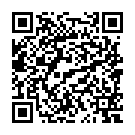 QR code for ZXX1937