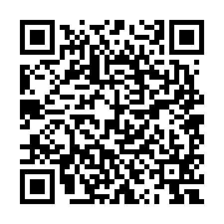 QR code for ZYB6955