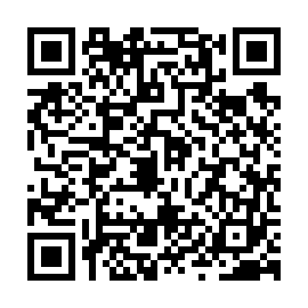 QR code for ZYI6637