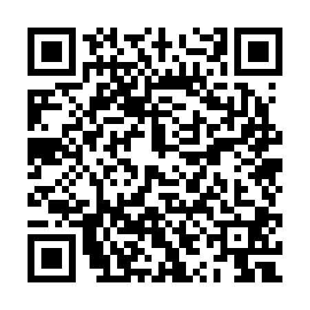 QR code for ZYO2005