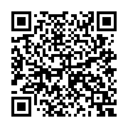 QR code for ZZ17AS