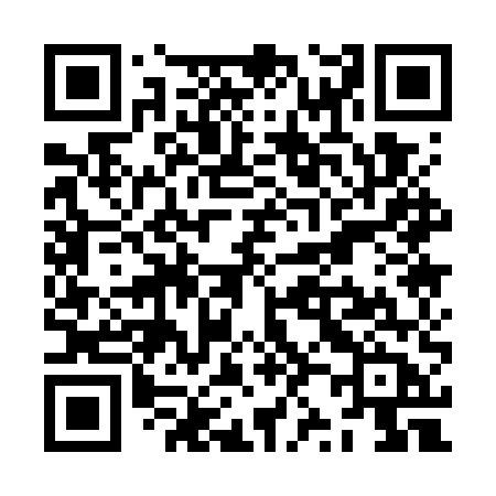 QR code for ZZ17UB