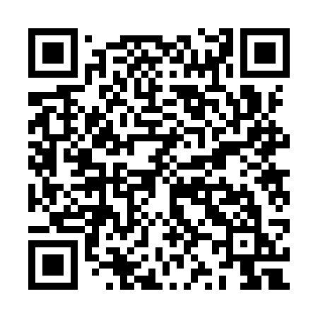 QR code for ZZ29SK