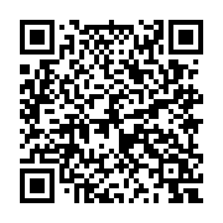 QR code for ZZ95HV