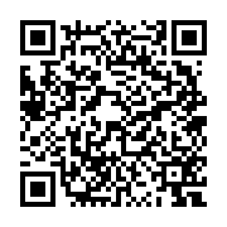 QR code for ZZC6563