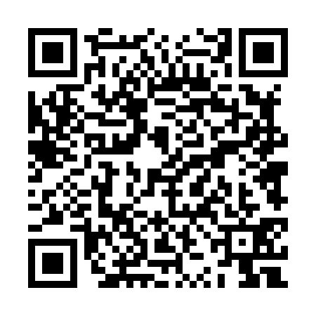 QR code for ZZD8313