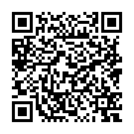 QR code for ZZH9379