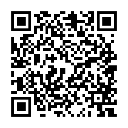 QR code for ZZP3876