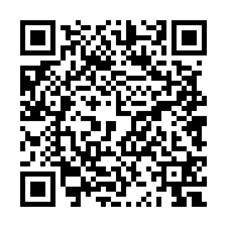 QR code for ZZT5209