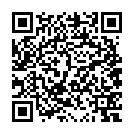 QR code for ZZV6739