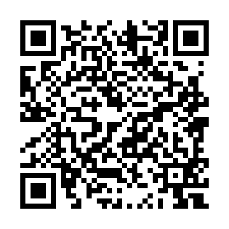 QR code for ZZX3920