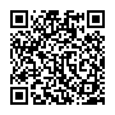 QR code for 006PVI