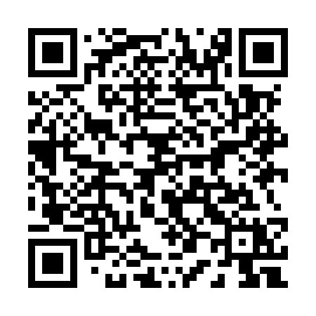 QR code for 009MSX