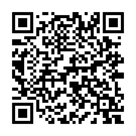 QR code for 009PIT