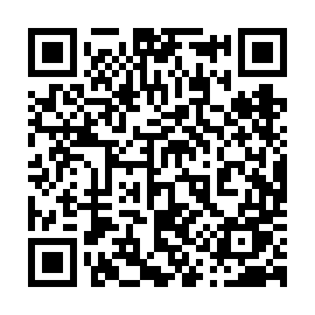 QR code for 010VDU