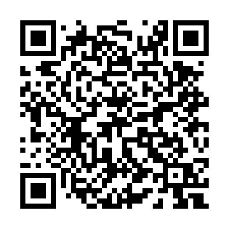 QR code for 013DSQ